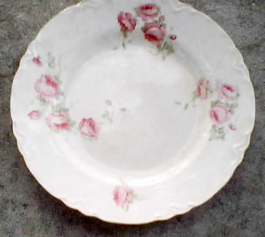 SX1 Dinner Plate by Saxon-1