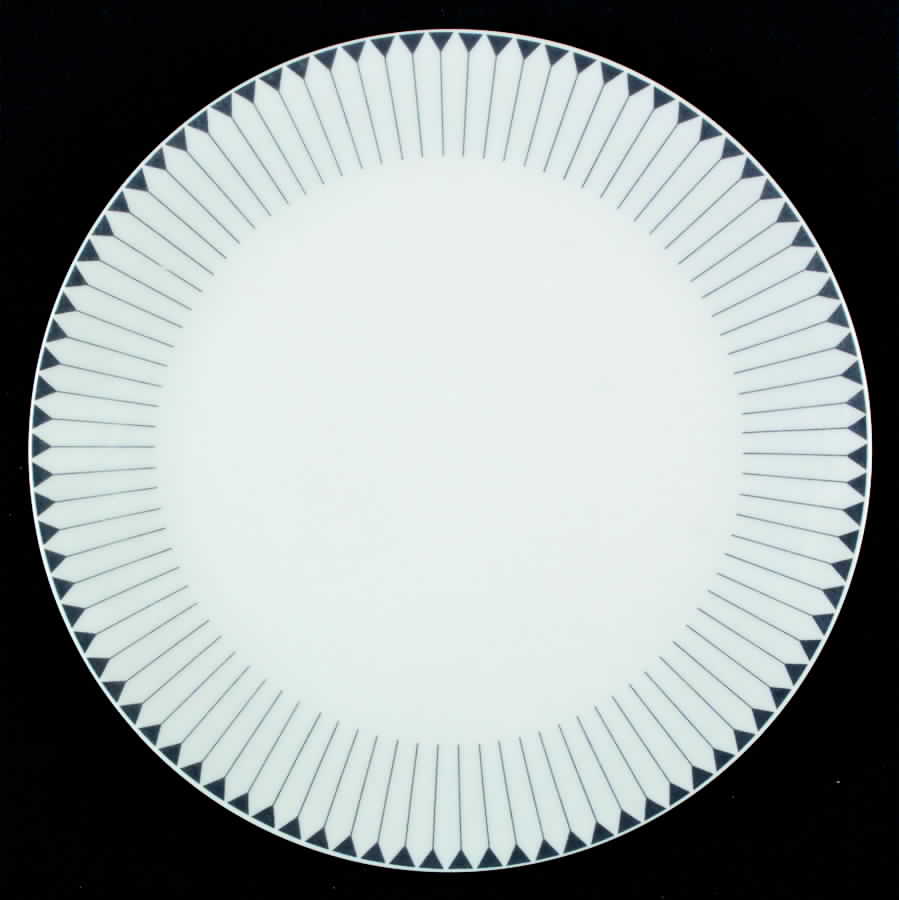 SCD45 Salad Plate by Schonwald-1