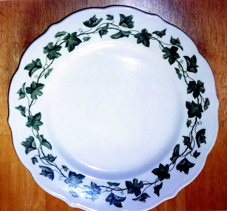 SY613 Dinner Plate by Syracuse-1