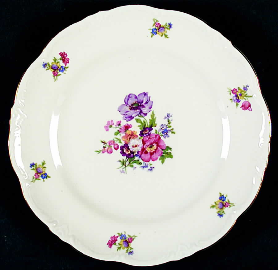 SCG40 Salad Plate by Schirnding-1