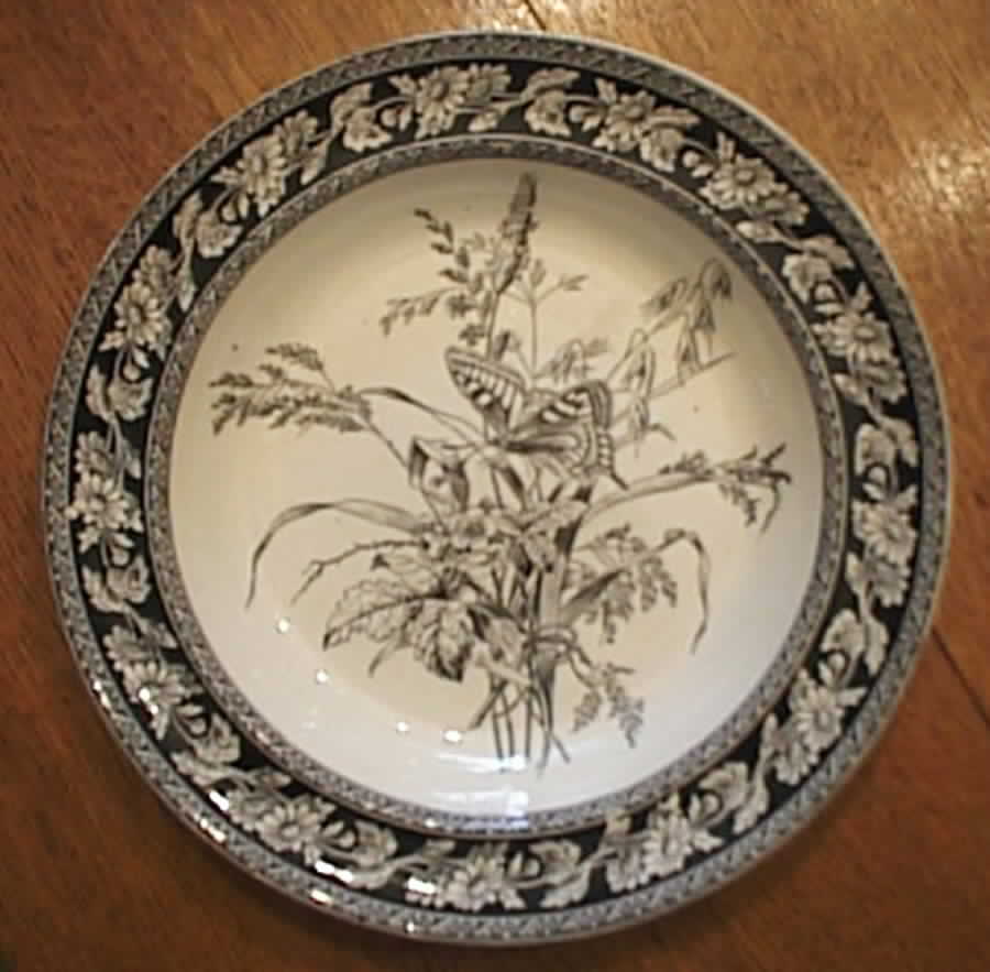 Daisy Black Dinner Plate by Spode-1