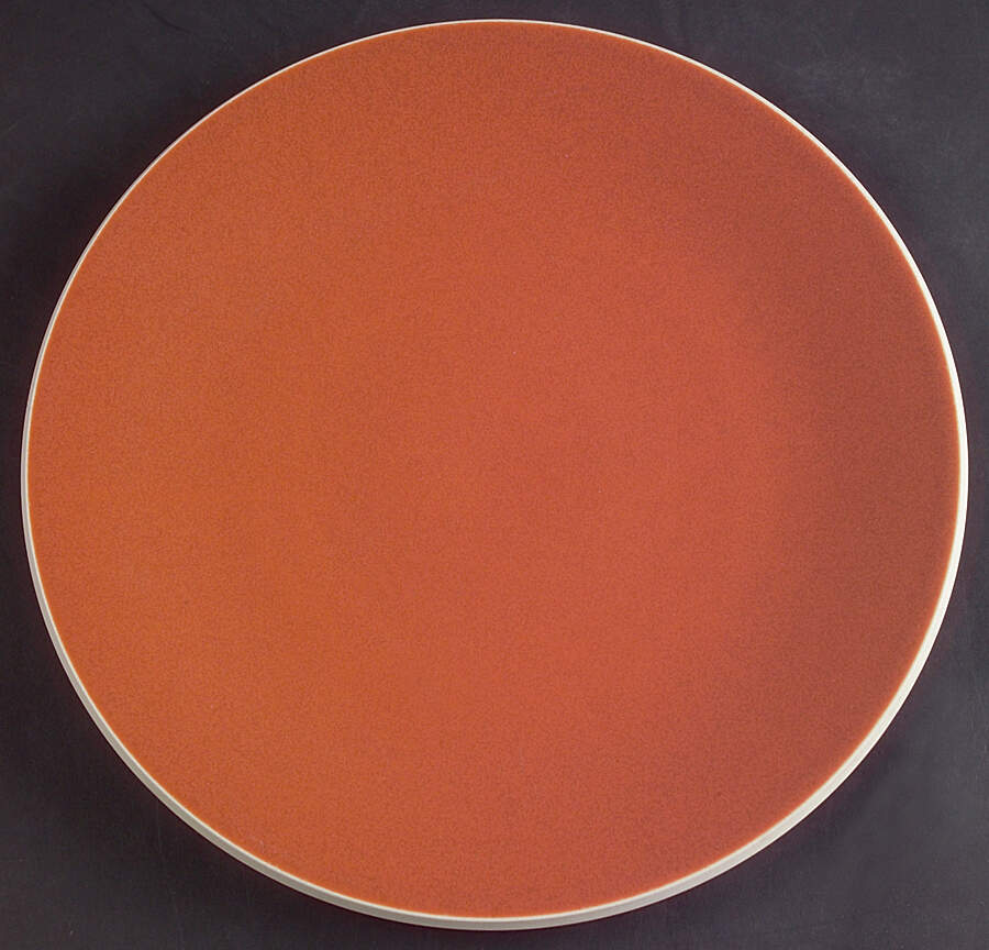 Colorstone Terra Cotta (Textured) Dinner Plate by Sasaki-1