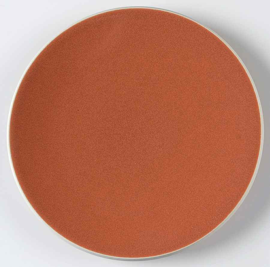 Colorstone Terra Cotta (Textured) Salad Plate by Sasaki-1