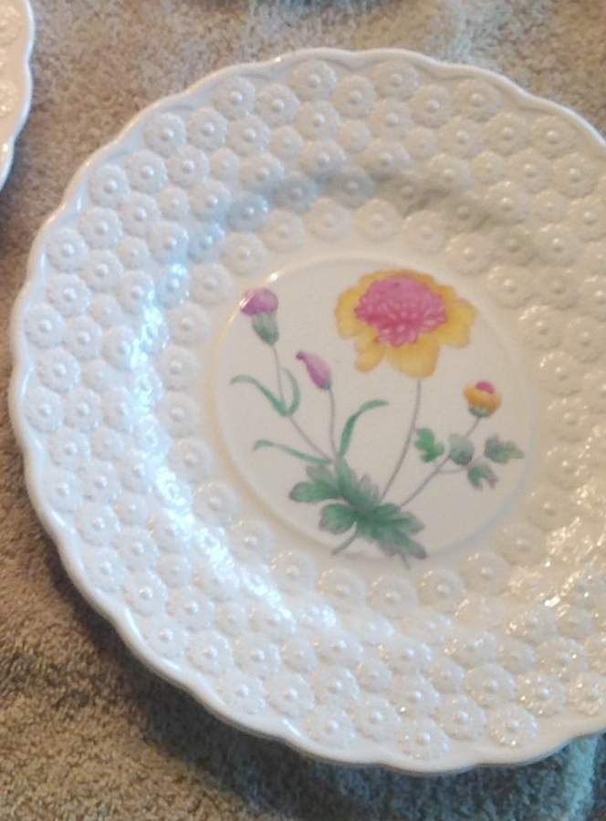 O1550 Luncheon Plate by Spode-1