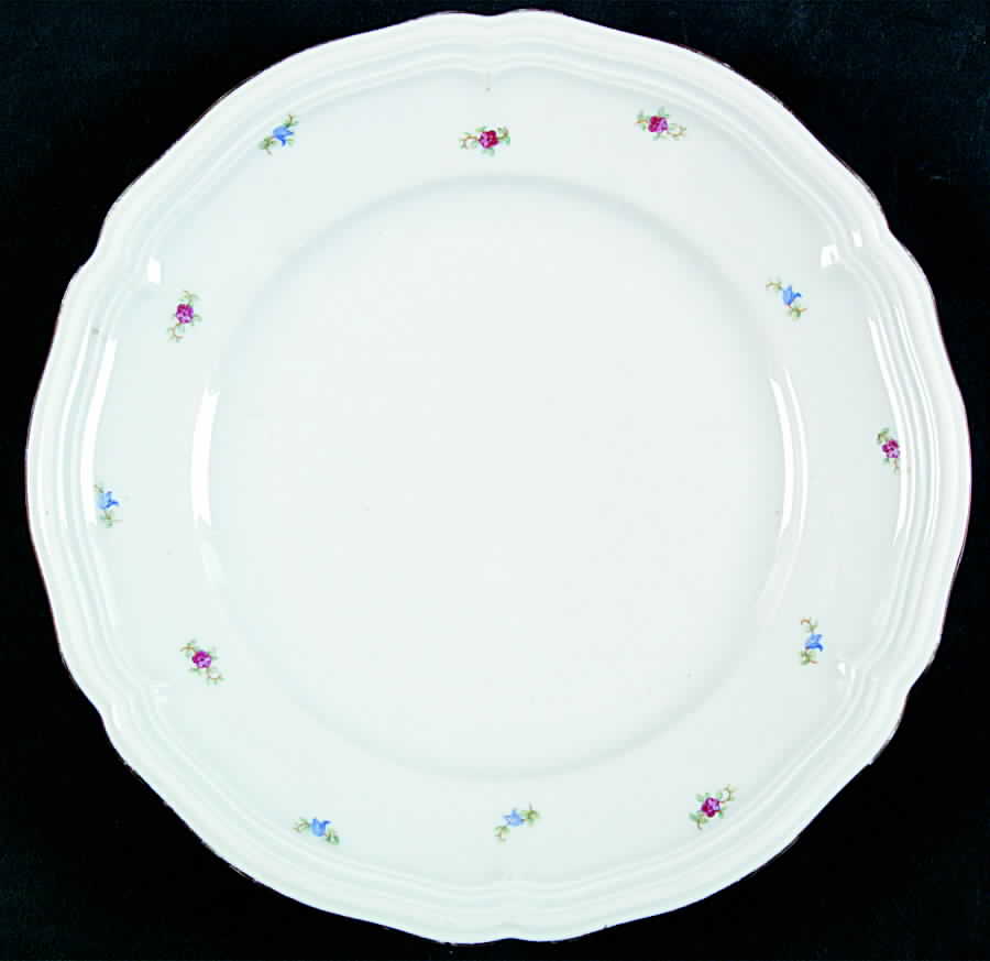 SLT258 Salad Plate by Seltmann-1