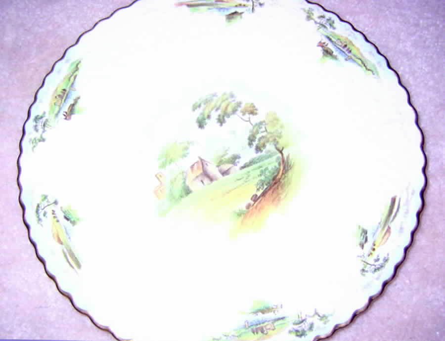 Y3035 Dinner Plate by Spode-1