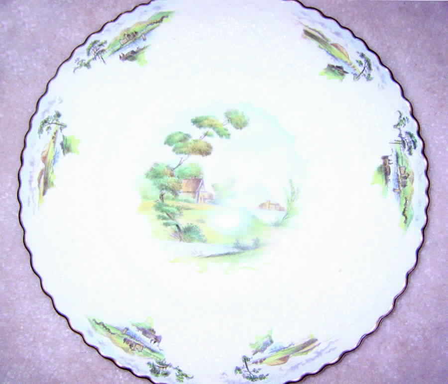 Y3035 Dinner Plate by Spode-1