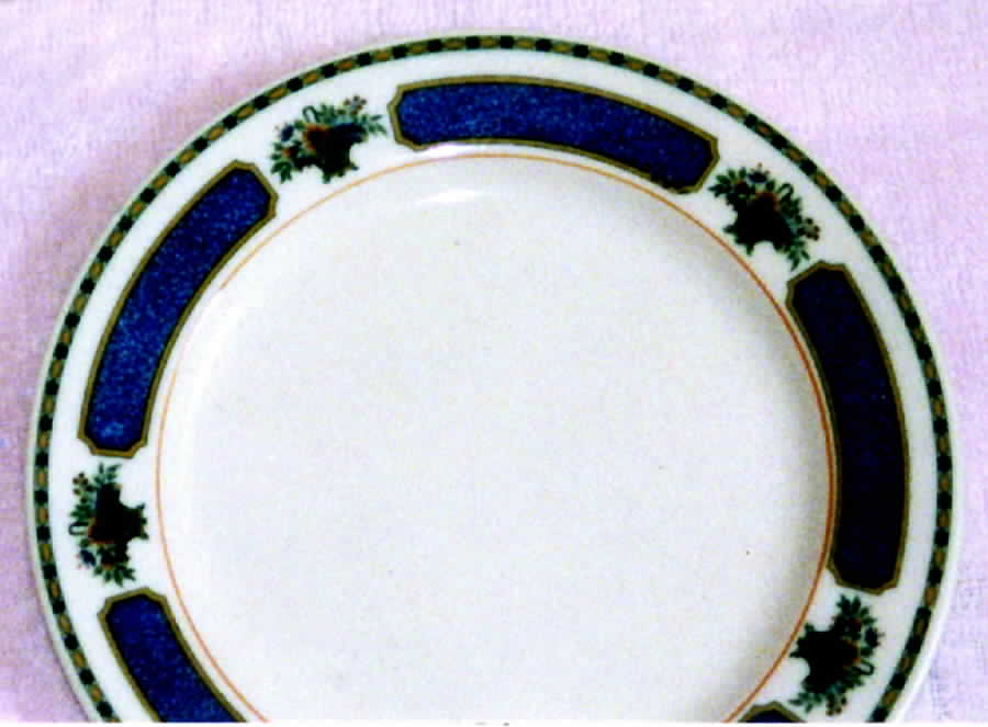 Meridale (Verge Line & White Background) Dinner Plate by Syracuse-1
