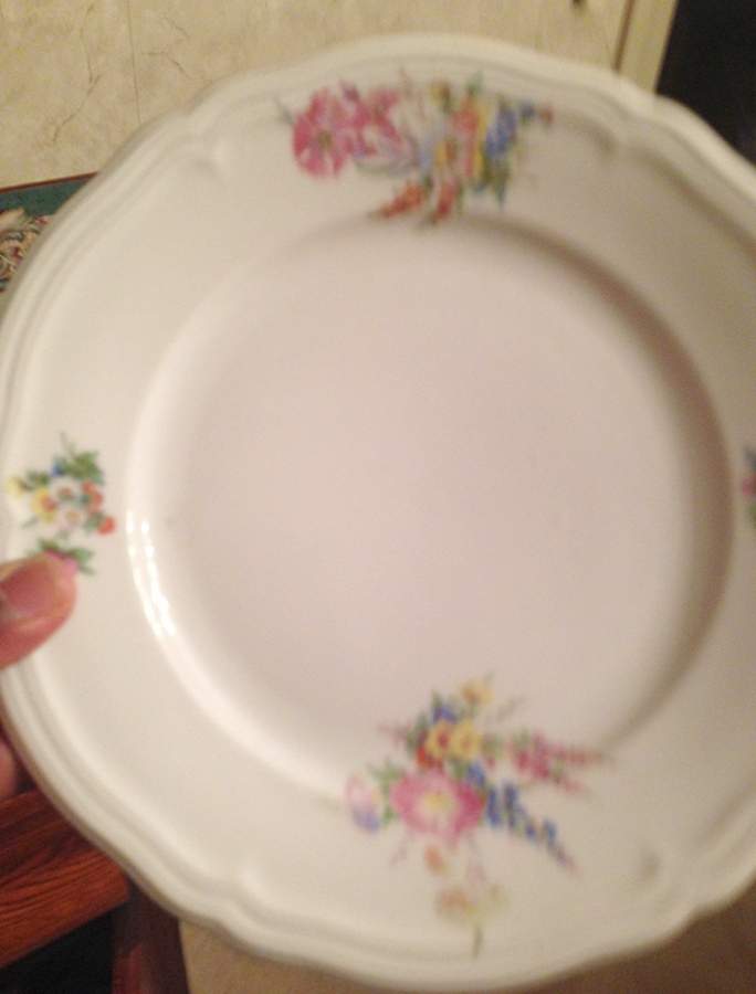 SLT262 Dinner Plate by Seltmann-1
