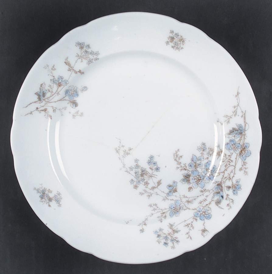Sp25 Salad Plate by Springer & Co-1