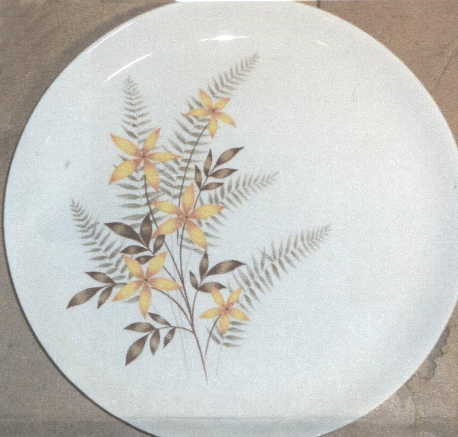 Calypso Dinner Plate by Salem-1