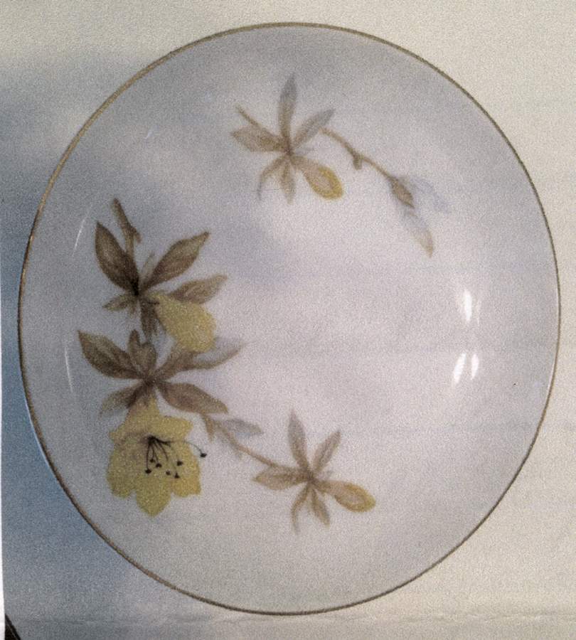 Azalea Coupe Soup Bowl by Sango-1