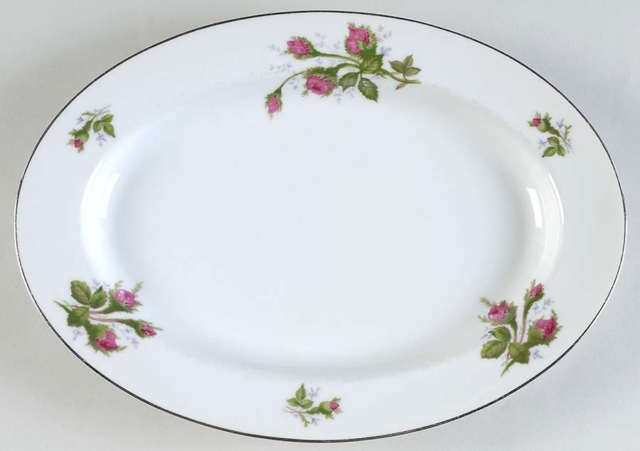 Silvia (Platinum Trim) 12" Oval Serving Platter by Spring China-1