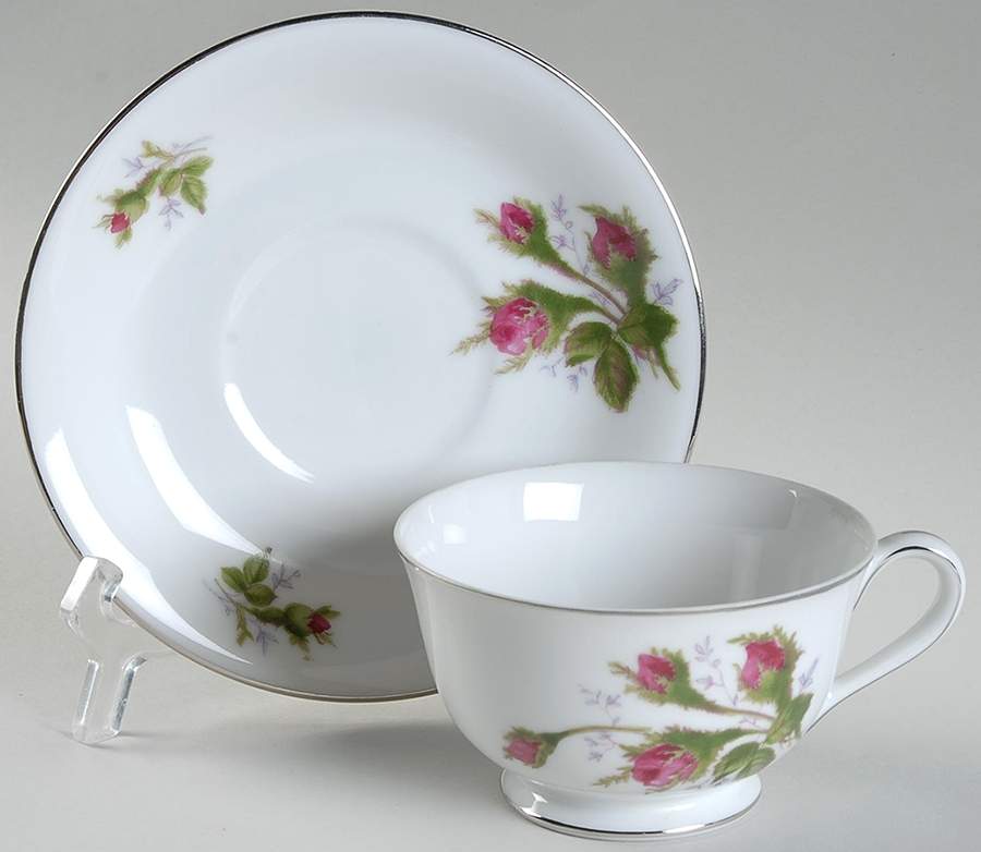 Silvia (Platinum Trim) Footed Cup & Saucer Set by Spring China-1