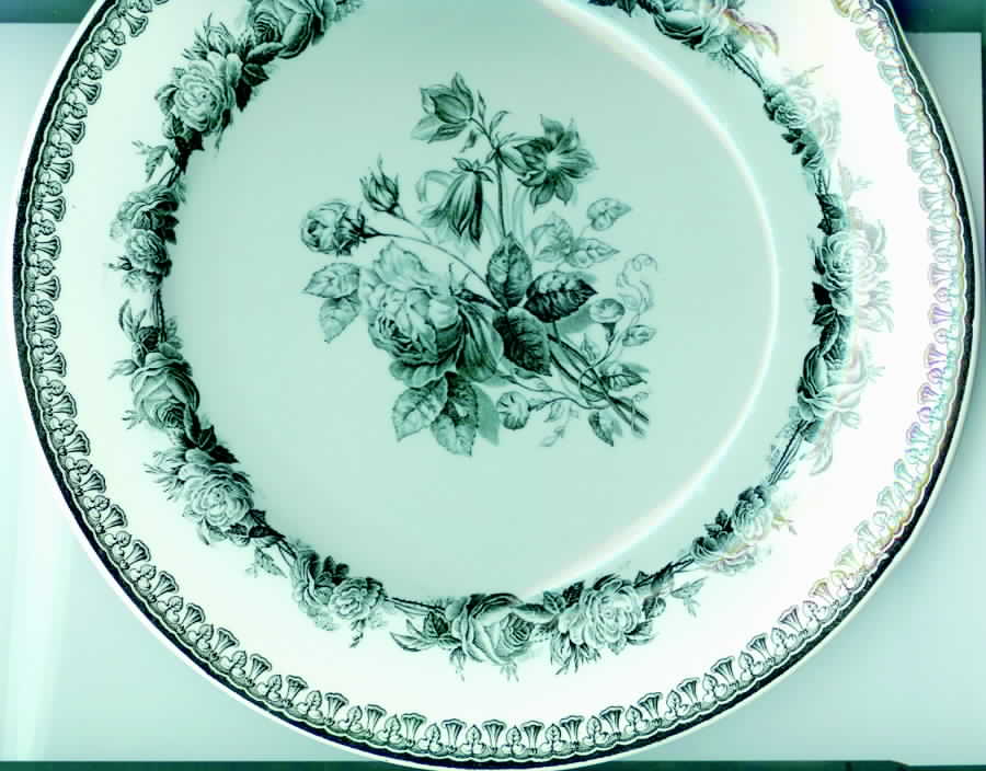 Rosebriar Dinner Plate by Spode-1