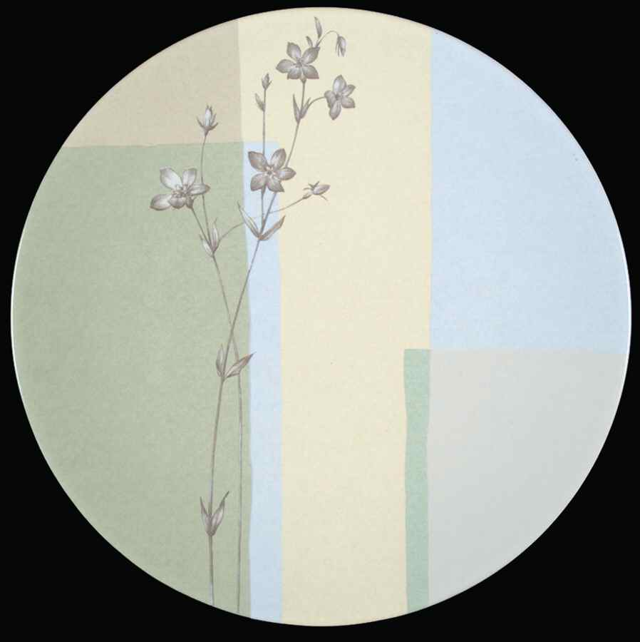 Beginnings Dinner Plate by Studio Nova-1