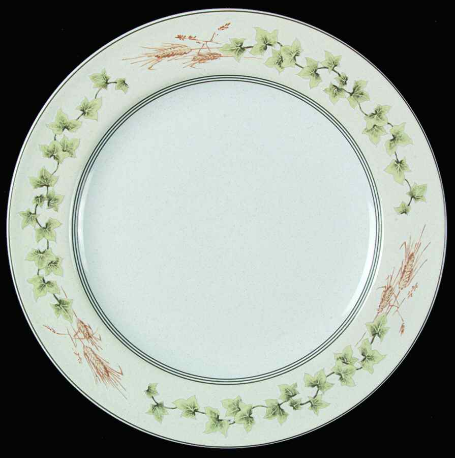Ivy Lane Dinner Plate by Studio Nova-1