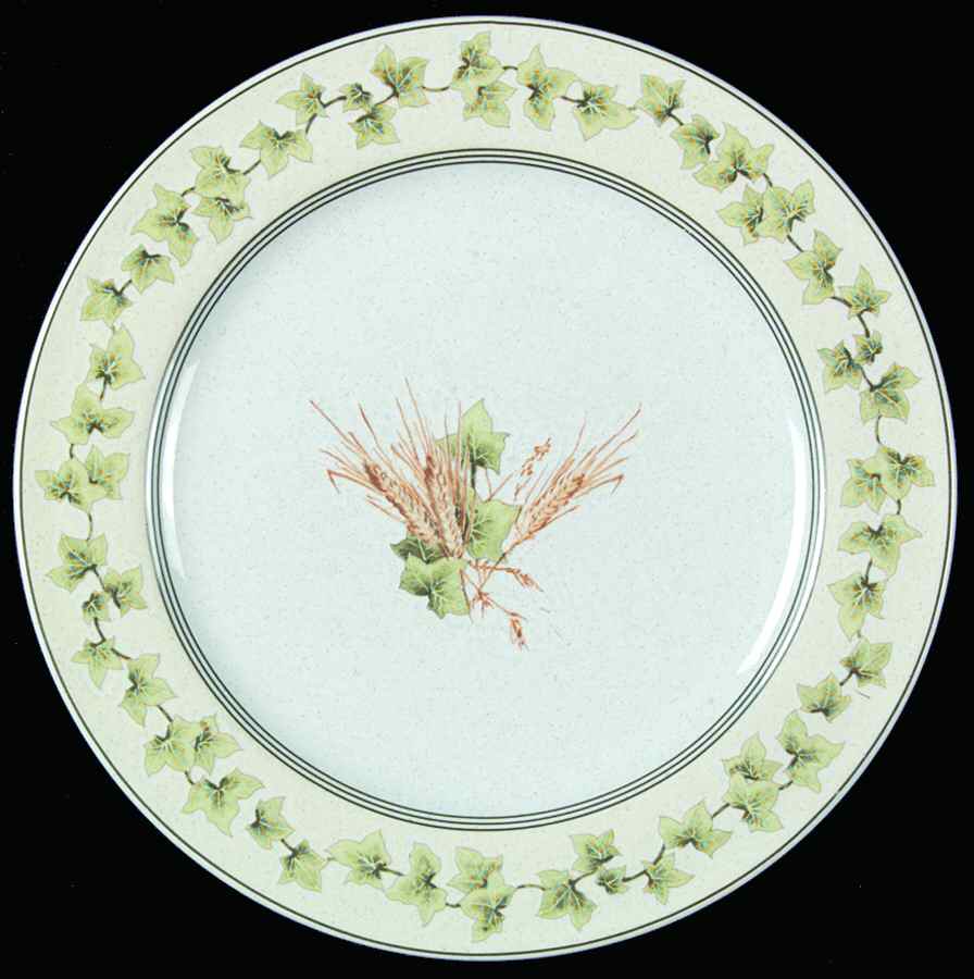 Ivy Lane Salad Plate by Studio Nova-1