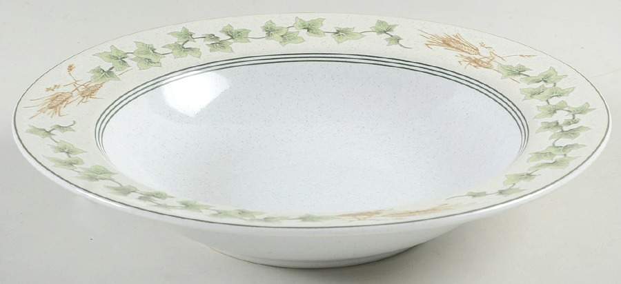 Ivy Lane Rim Soup Bowl by Studio Nova-1