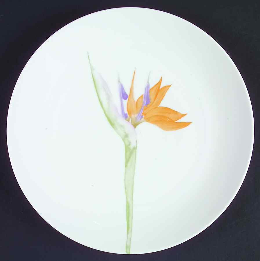 Hawaiian Song Dinner Plate by Studio Nova-1