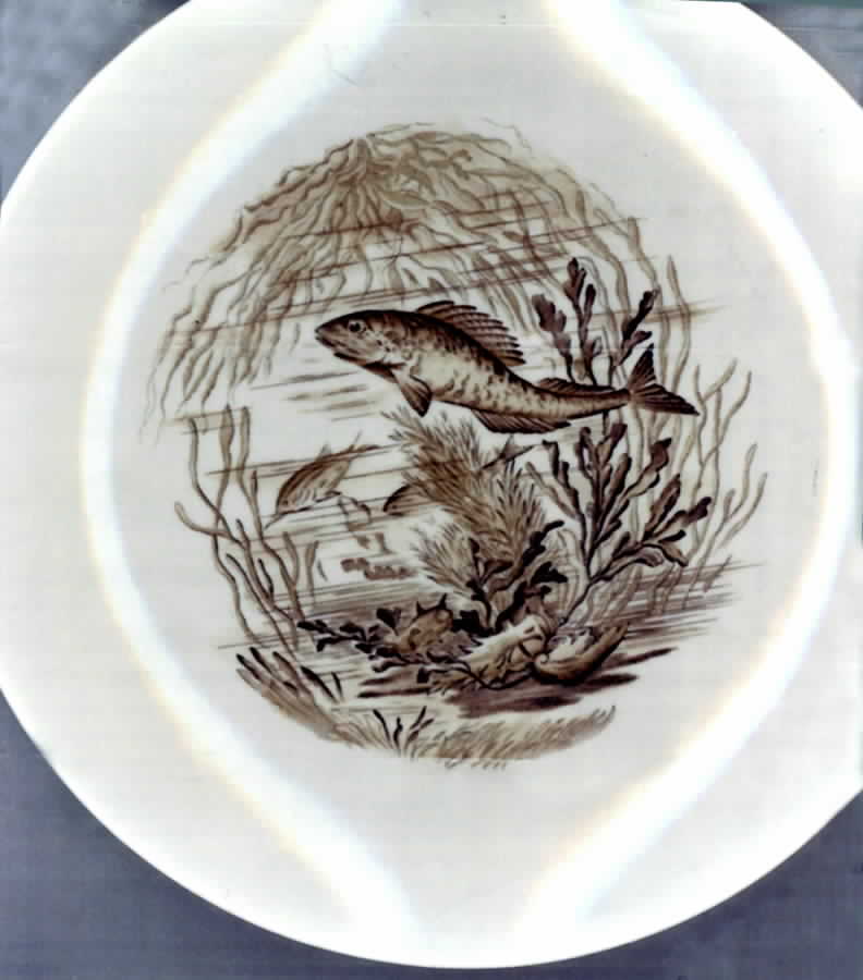 S3173 Dinner Plate by Spode-1