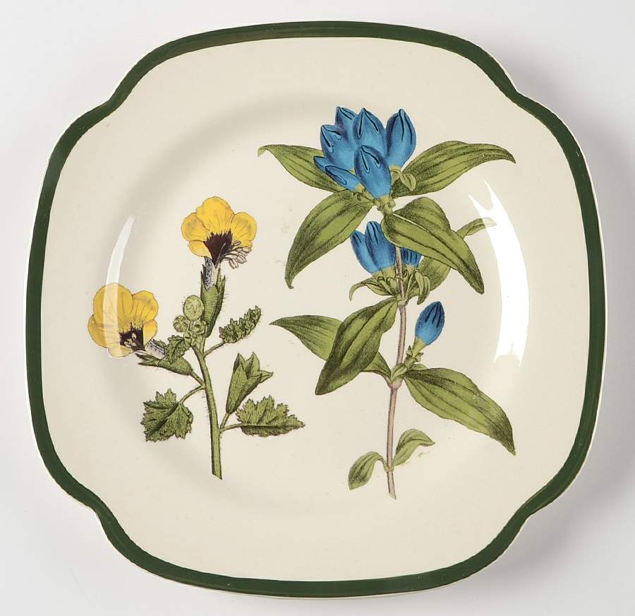 Burgess Botanical (Williamsburg, Green Trim) Square Salad Plate by Spode-1
