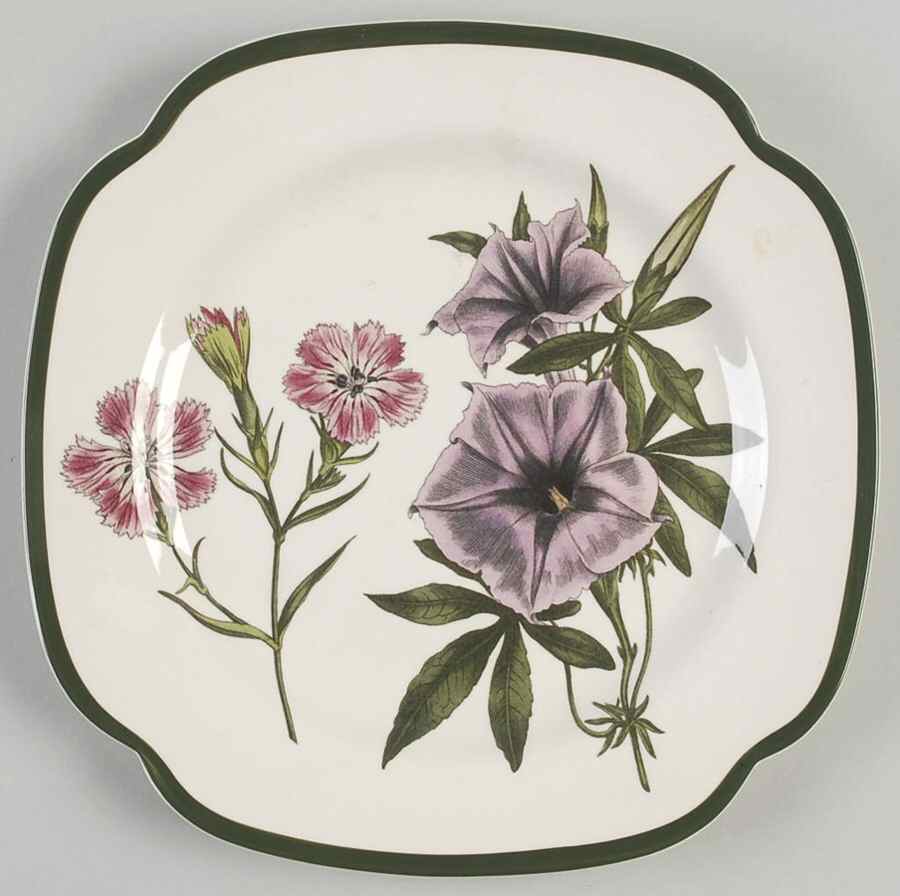 Burgess Botanical (Williamsburg, Green Trim) Square Salad Plate by Spode-1