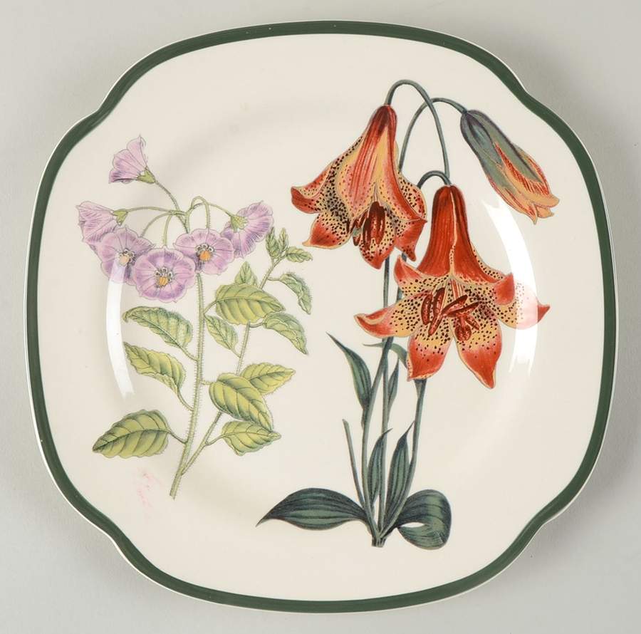 Burgess Botanical (Williamsburg, Green Trim) Square Salad Plate by Spode-1