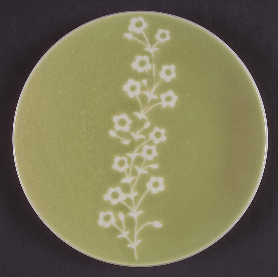 Colorstone Wasabi (Textured) Accent Salad Plate by Sasaki-1