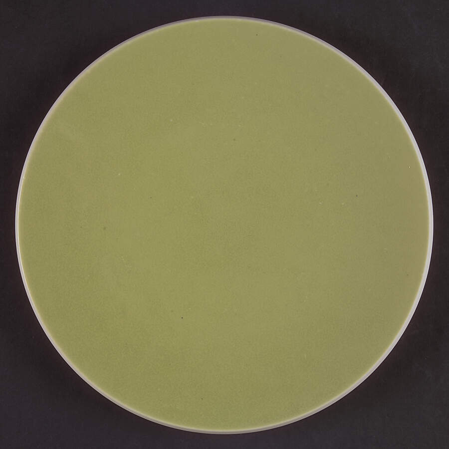Colorstone Wasabi (Textured) Salad Plate by Sasaki-1