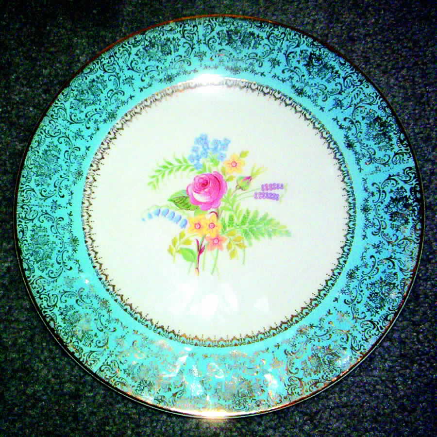SLM246 Dinner Plate by Salem-1