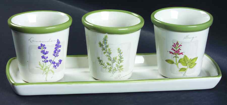 Herb Garden Planter Set (3 Planters and Tray) by Sonoma Home-1