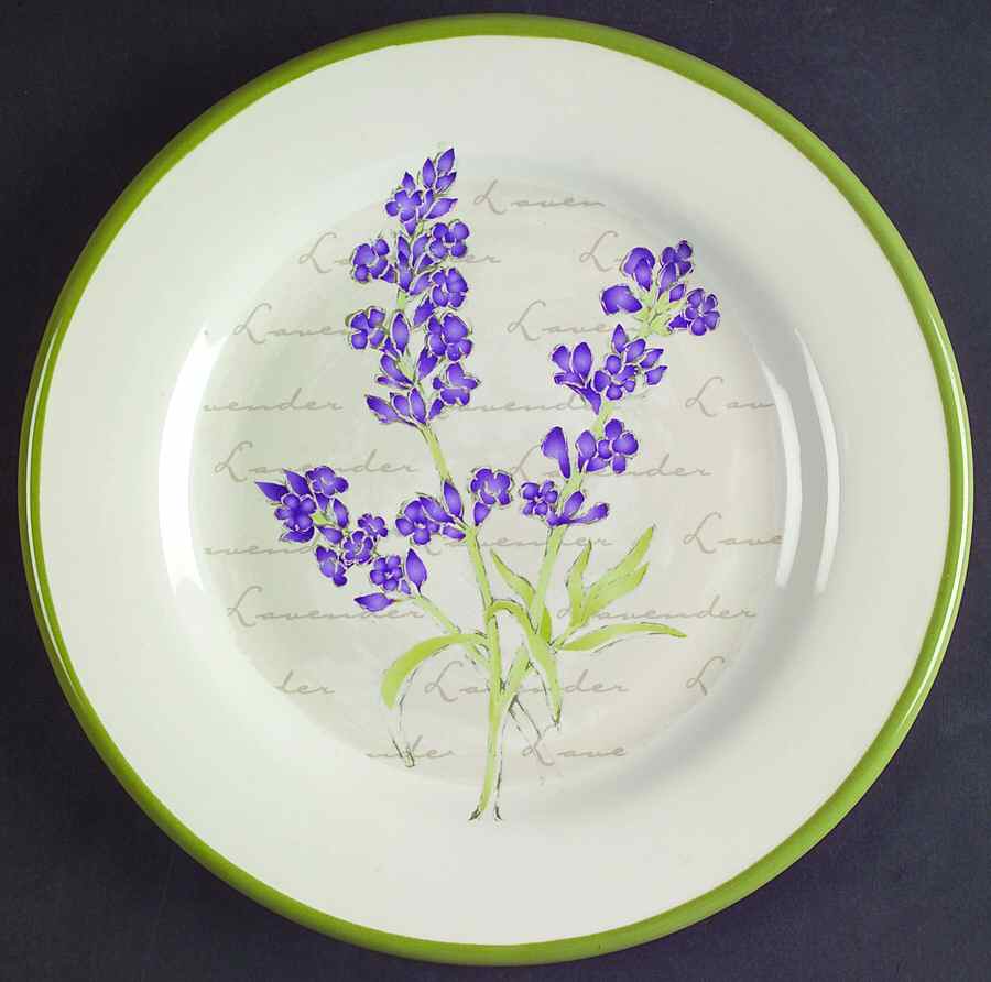 Herb Garden Salad Plate by Sonoma Home-1