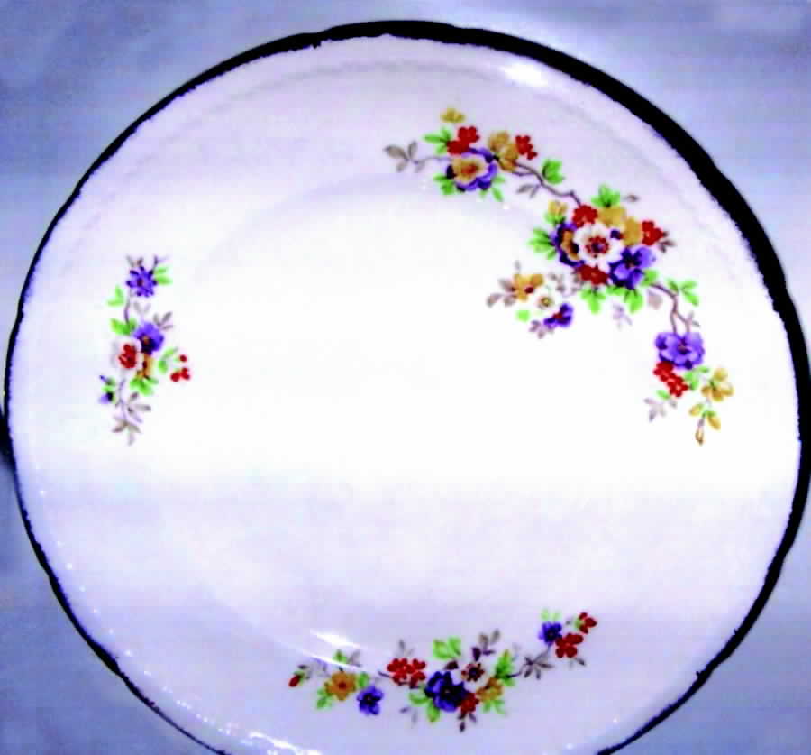 SWI141 Dinner Plate by Swinnertons-1