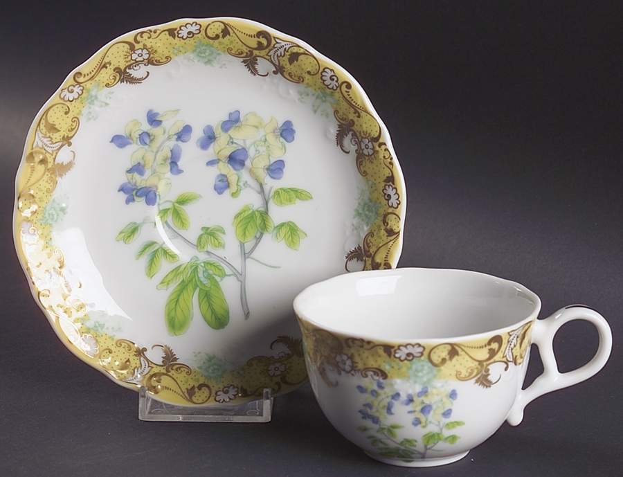 English Garden Flat Cup & Saucer Set by Sadek-1