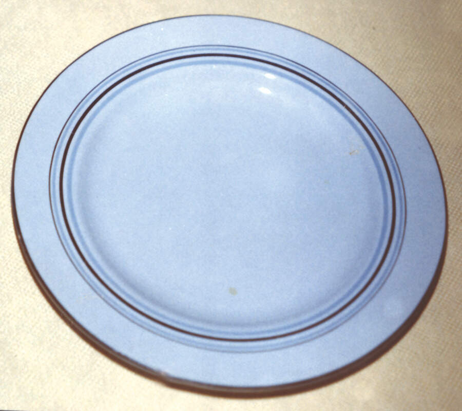 O400 Salad Plate by Spode-1
