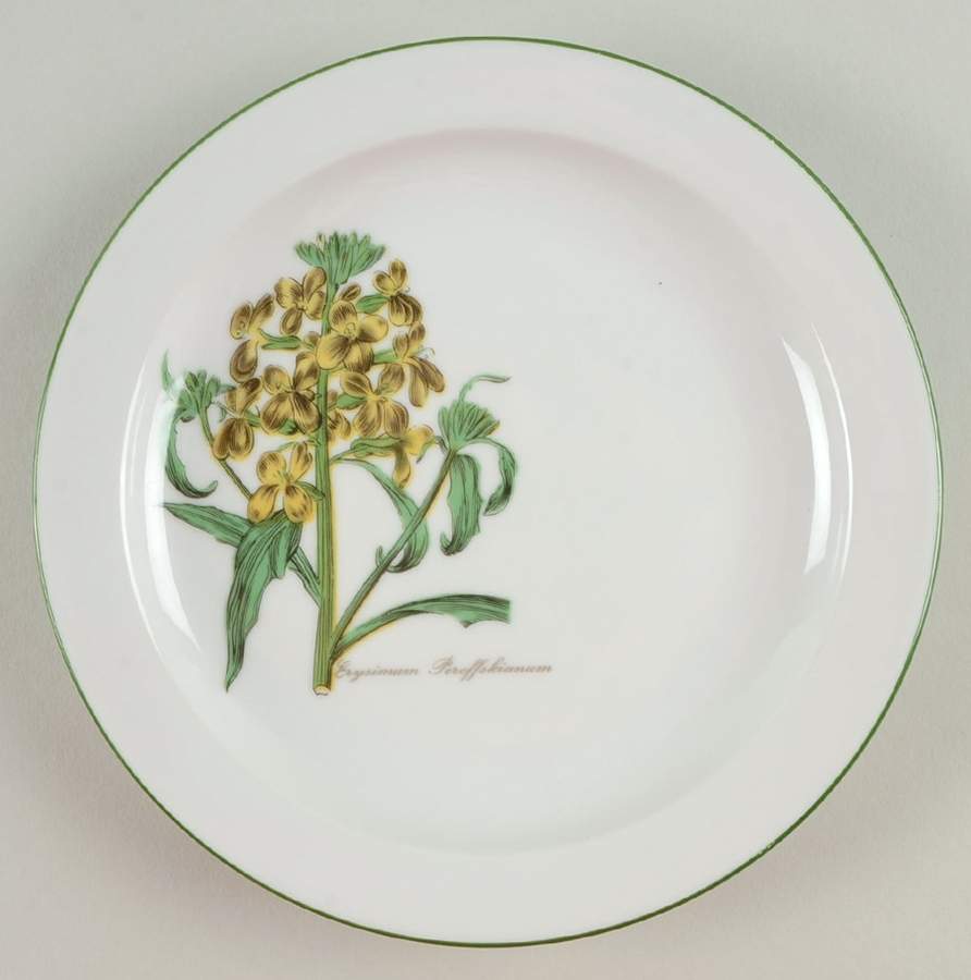 SLT275 Salad Plate by Seltmann-1