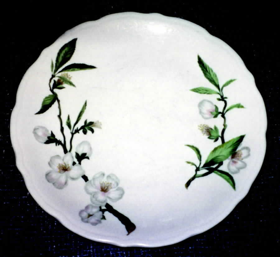 SY653 Dinner Plate by Syracuse-1
