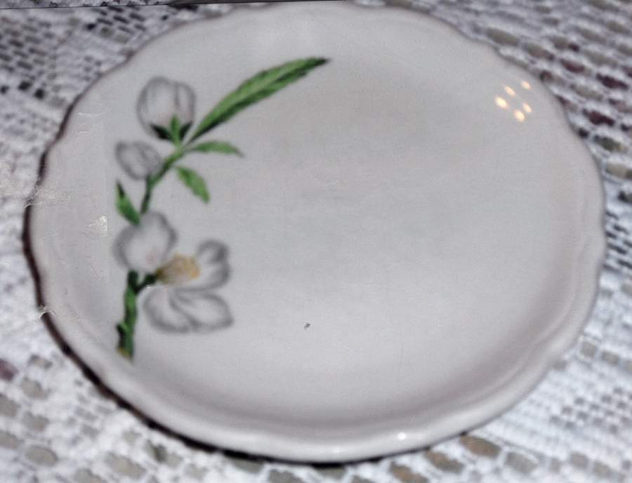 SY653 Bread & Butter Plate by Syracuse-1