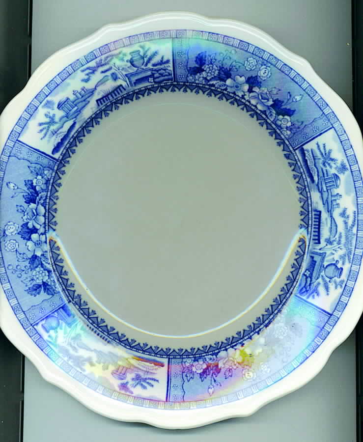 SY657 Dinner Plate by Syracuse-1