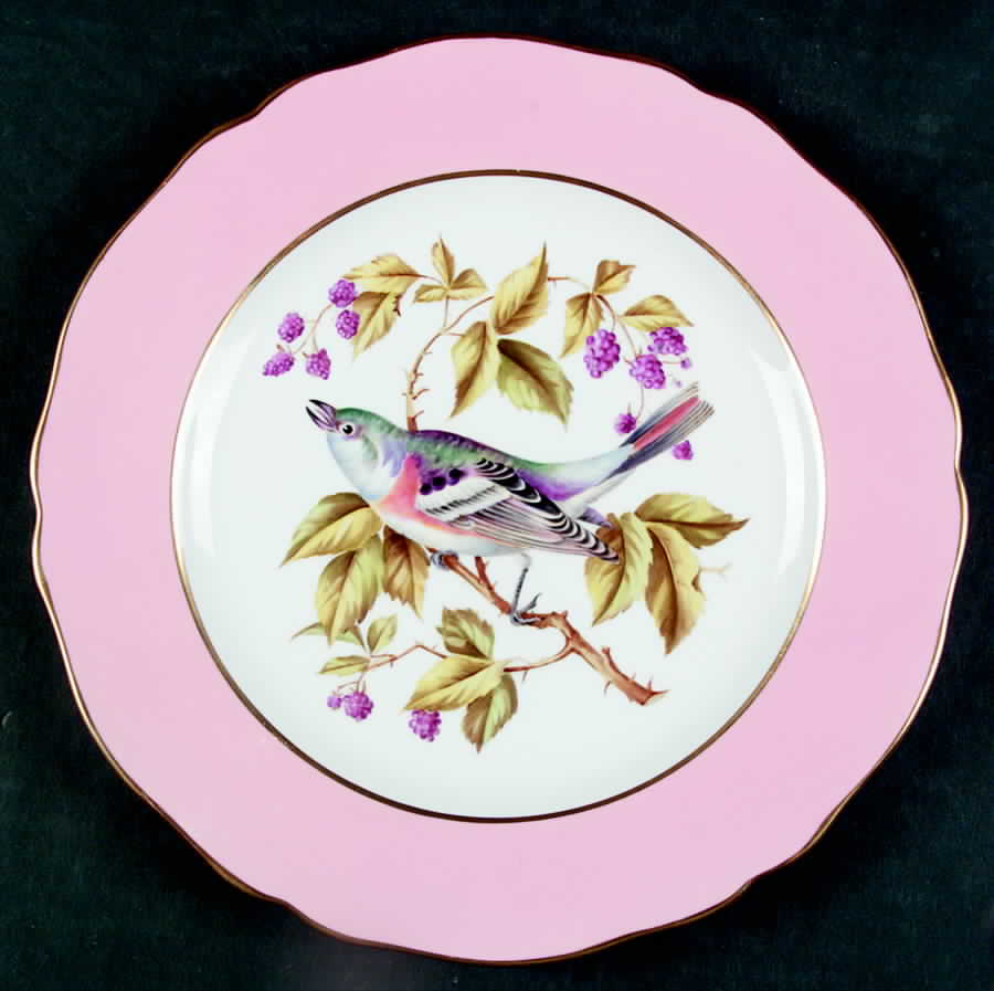 Y6898 Luncheon Plate by Spode-1