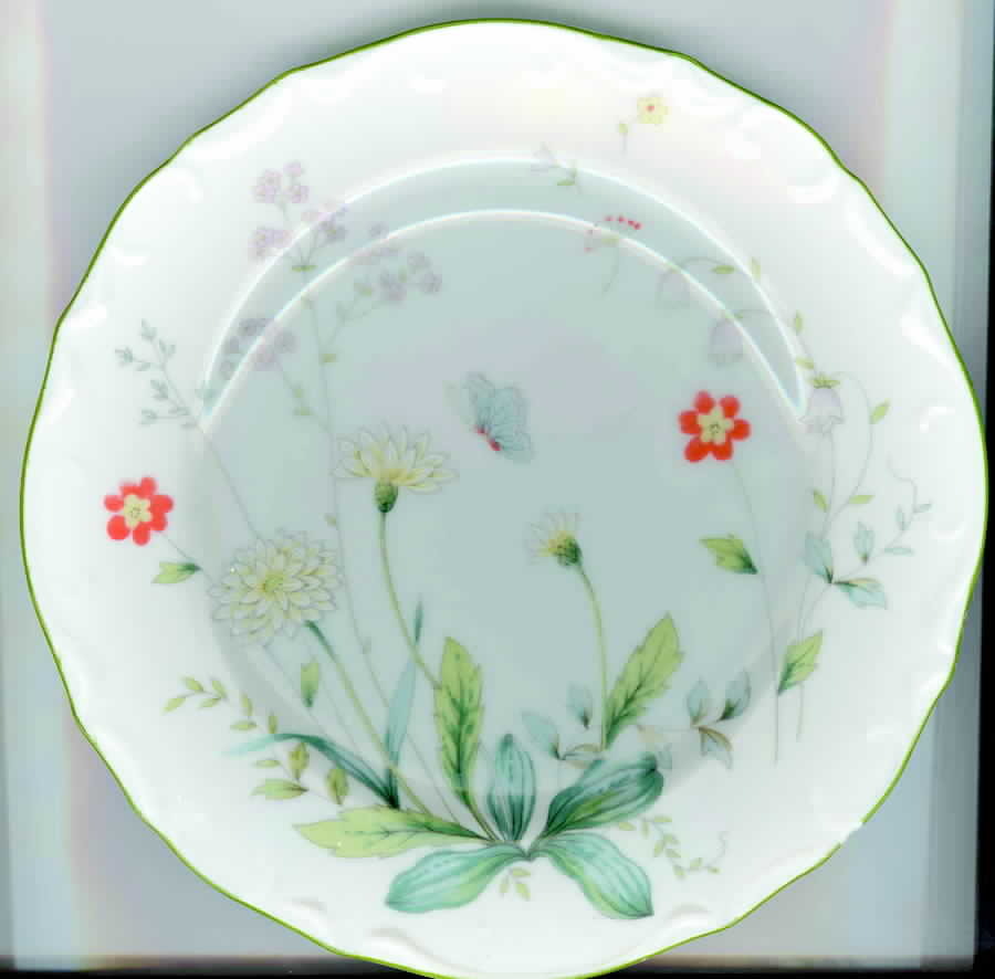 SON74 Dinner Plate by Sone-1