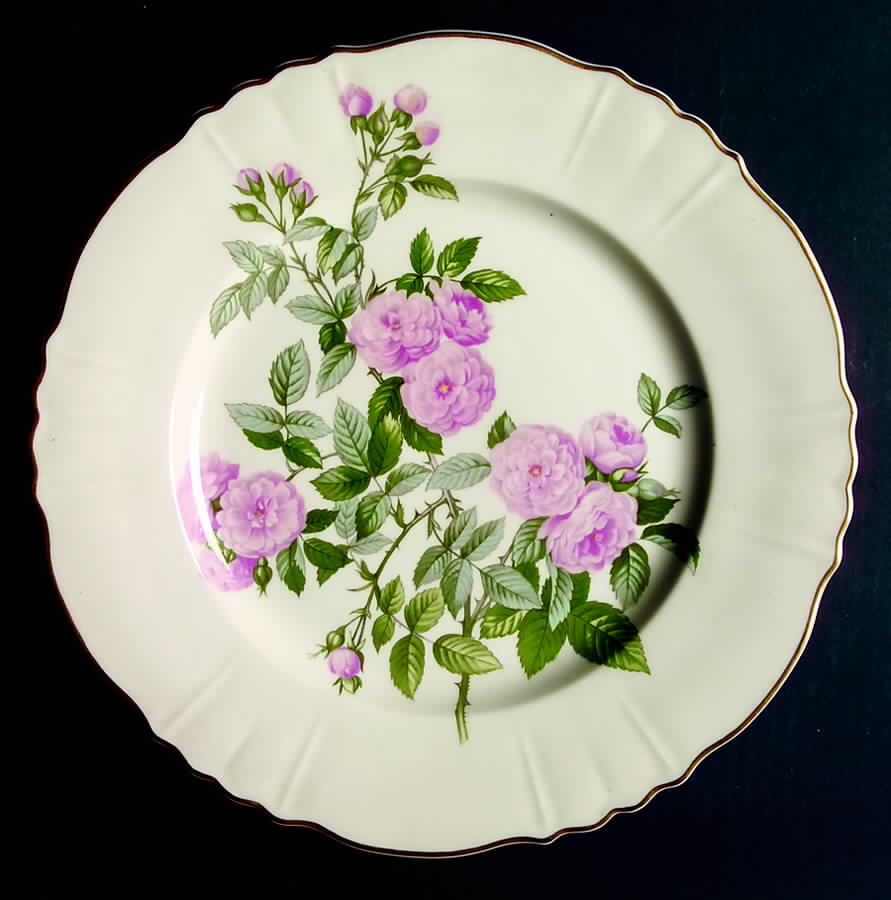 SY659 Dinner Plate by Syracuse-1