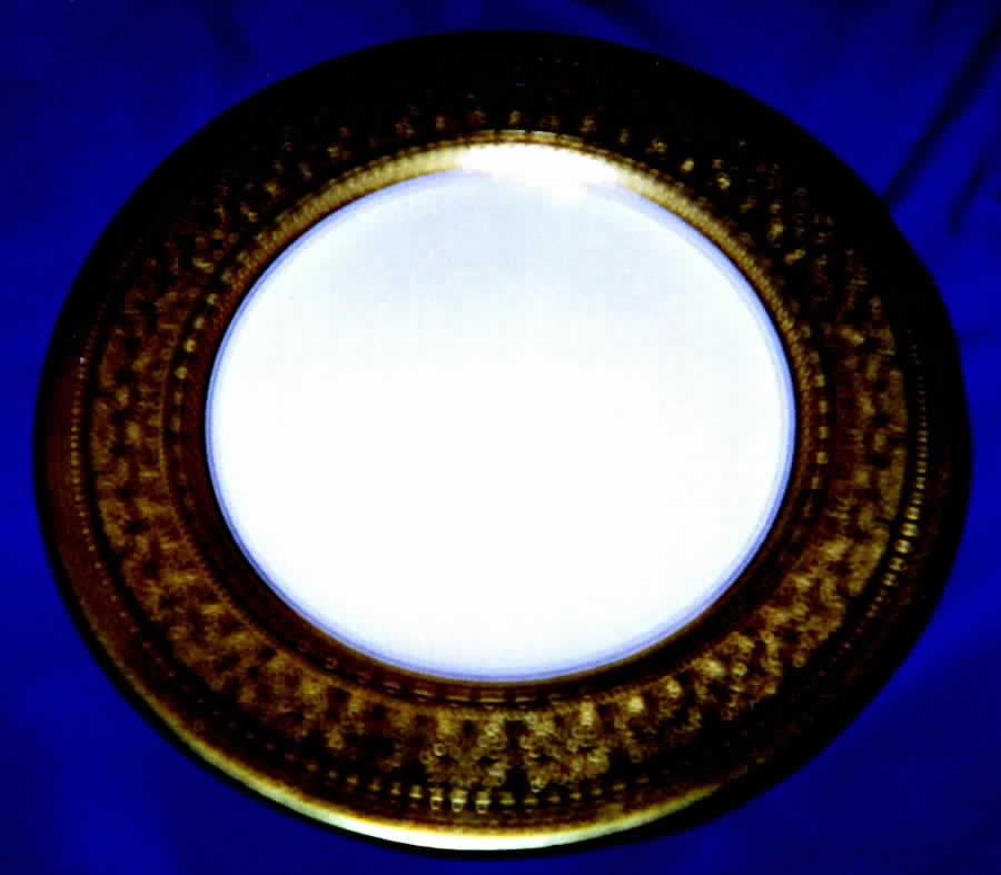 SP341 Dinner Plate by Spode-1