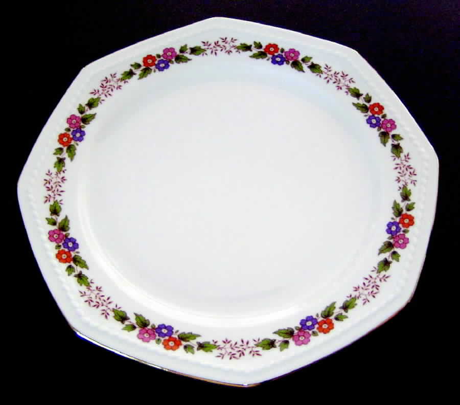 SCG49 Dinner Plate by Schirnding-1