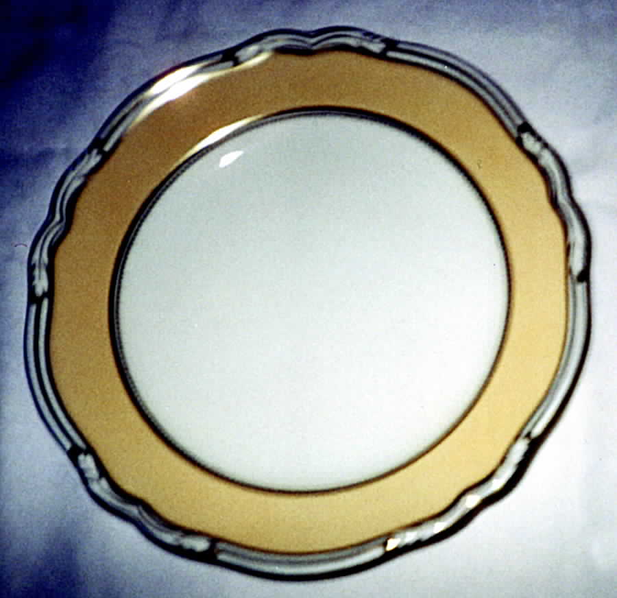 Y5535 Dinner Plate by Spode-1