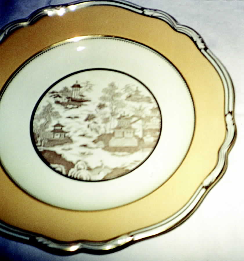 Y5535 Salad Plate by Spode-1
