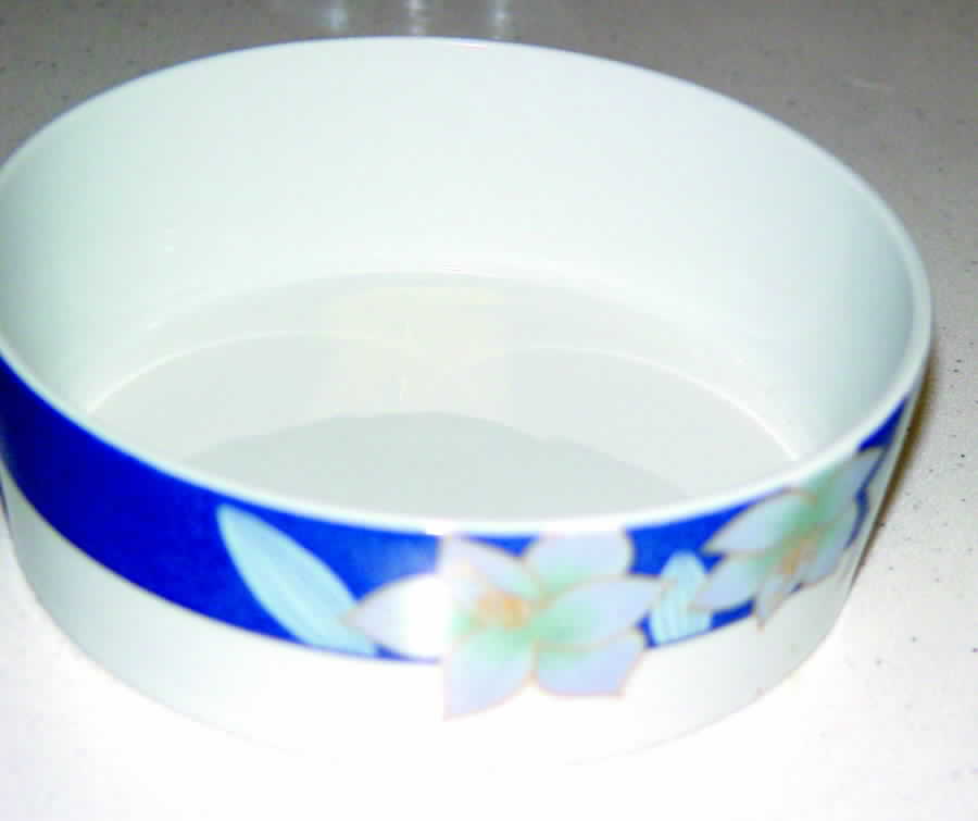 SPZ4 Coupe Cereal Bowl by Spal Porcelanas-1