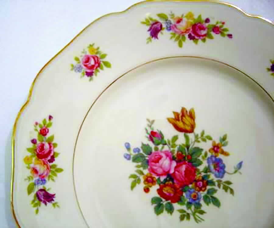 HCZ262 Dinner Plate by Haas-Czjzek Coronado-1