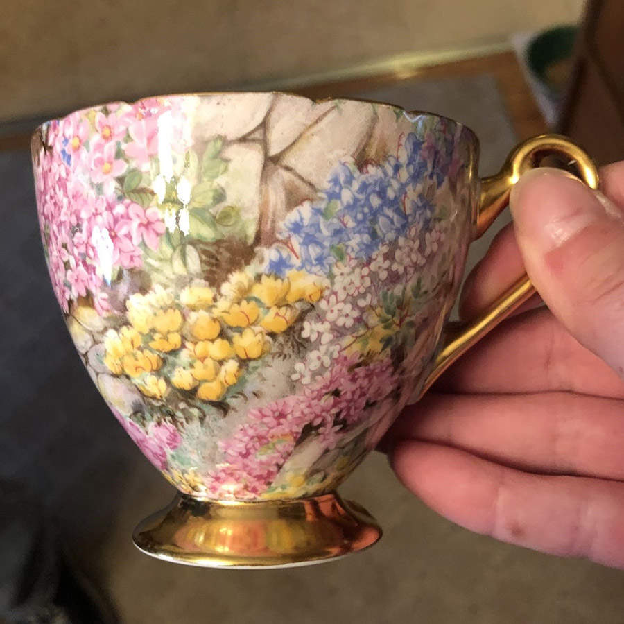 Rock Garden Footed Cup by Shelley-1